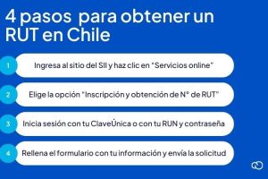 Requisitos Del RUT Para Salud En Chile